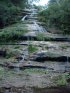 Blue Mountains National Park, New South Wales, Australia. 