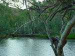 Click to enlarge Tjoritja / West MacDonnell National Park, Northern Territory, Australia.