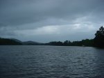Daintree National Park, Queensland, Australia. 