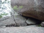 Girraween National Park, Queensland, Australia. 