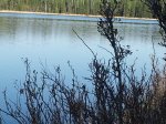 Moonshine Lake Provincial Park, Alberta, Canada. 