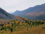Click to enlarge Peter Lougheed Provincial Park, Alberta, Canada. Larch Valley at Highwood Pass