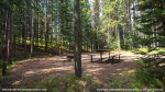 Chinook Lake Provincial Recreation Area, Alberta, Canada. Campsite in forested area