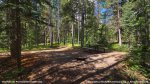 Chinook Lake Provincial Recreation Area, Alberta, Canada. Campsite in upper loop