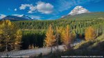 Chinook Lake Provincial Recreation Area, Alberta, Canada. Crowsnest Lake in the fall
