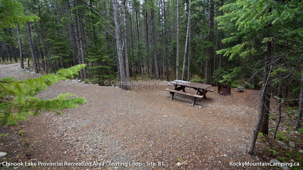 Campsite 81 in Chinook Lake Provincial Recreation Area Tenting Loop