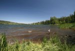 Click to enlarge Beaver Mines Lake Provincial Recreation Area, Alberta, Canada. A low shot of the big whitecaps on Beaver Mines Lake.