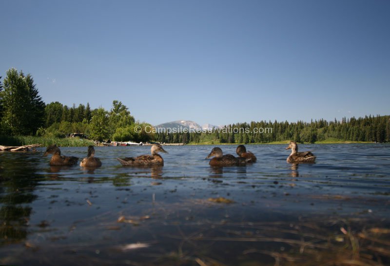 Beaver Mines Lake Provincial Recreation Area, Alberta, Canada