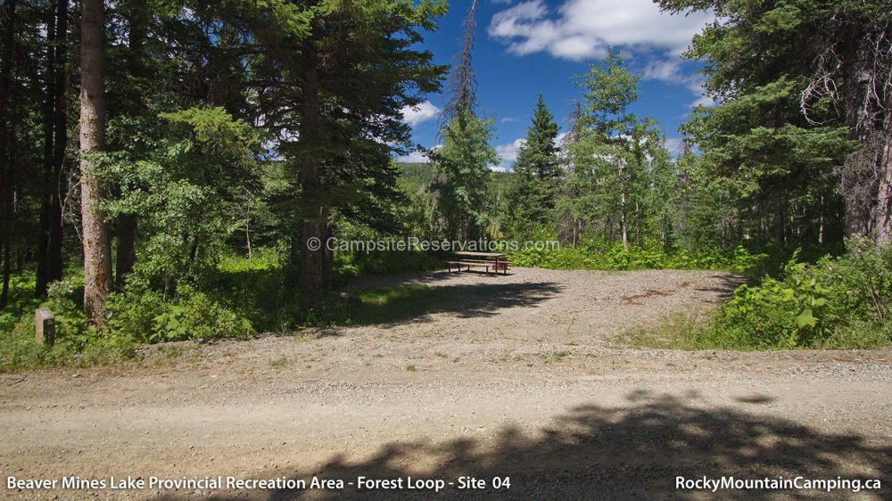 Photo of Campsite 04 in Beaver Mines Lake Provincial Recreation Area