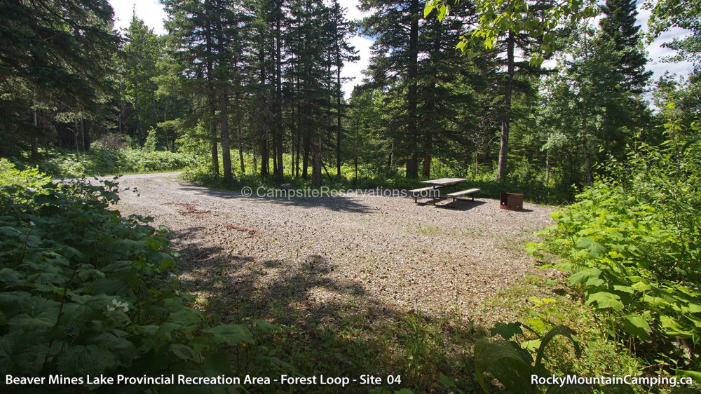 Photo of Campsite 04 in Beaver Mines Lake Provincial Recreation Area