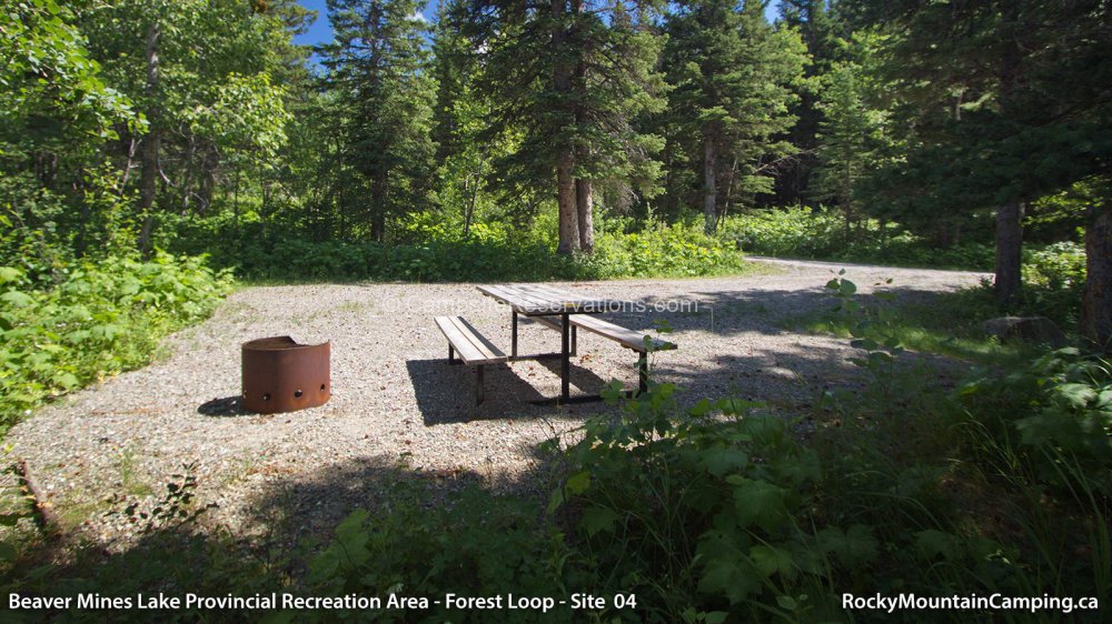 Photo of Campsite 04 in Beaver Mines Lake Provincial Recreation Area