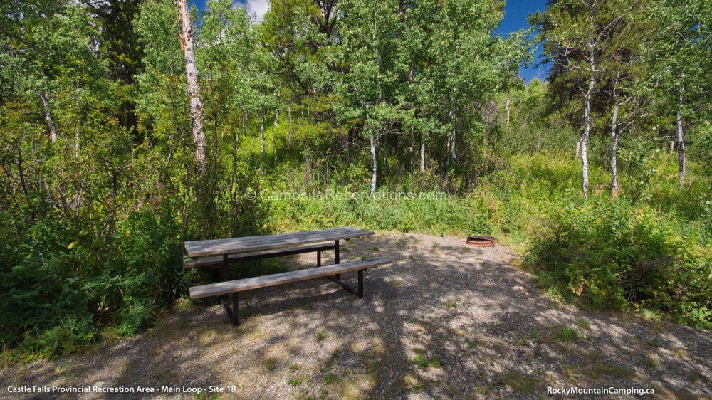 Photo of Campsite 18 in Castle Falls Main Loop at Castle Falls