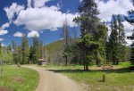 Lynx Creek Provincial Recreation Area, Alberta, Canada. An open area in the Lynx Creek South Loop.