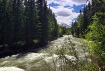 Lynx Creek Provincial Recreation Area, Alberta, Canada. Lynx Creek flows into the Carbondale River (pictured) which flows north past the campground.