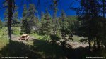 Lynx Creek Provincial Recreation Area, Alberta, Canada. 