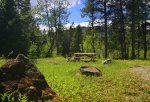 Lynx Creek Provincial Recreation Area, Alberta, Canada. Open canopy campsite in the River Loop