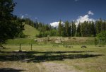 Dutch Creek Provincial Recreation Area, Alberta, Canada. An open area beside the campground is great for group picnics and sporting events.