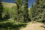 Click to enlarge Oldman River Provincial Recreation Area, Alberta, Canada. A campsite at the forest edge at Oldman River Campground