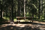 Click to enlarge Oldman River Provincial Recreation Area, Alberta, Canada. Dense forests growth surrounds the campground