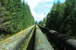 Elk Falls Provincial Park, British Columbia, Canada. wooden water pipes from the upper dam to below, seen on the trail to Elk falls