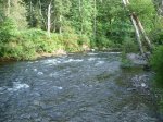 Elk Falls Provincial Park, British Columbia, Canada. The Quinsam River, adjacent to the Campground.