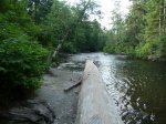 Elk Falls Provincial Park, British Columbia, Canada. The Quinsam River, adjacent to the campground.