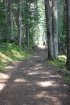Click to enlarge Purden Lake Provincial Park, British Columbia, Canada. Lakeside trail, campsite to/from beach. 3 km round trip easy walk.