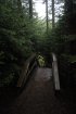 Click to enlarge Fundy National Park, New Brunswick, Canada.