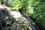 Click to enlarge Fundy National Park, New Brunswick, Canada. Moosehorn/Laverty Falls trail.