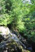 Click to enlarge Fundy National Park, New Brunswick, Canada. Moosehorn/Laverty Falls trail.
