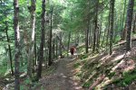 Click to enlarge Fundy National Park, New Brunswick, Canada. Moosehorn/Laverty Falls trail.