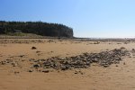 Click to enlarge Fundy National Park, New Brunswick, Canada. Tide out