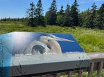 Click to enlarge Kouchibouguac National Park, New Brunswick, Canada. Kellys Beach
