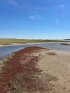 Click to enlarge Kouchibouguac National Park, New Brunswick, Canada. Kellys Beach