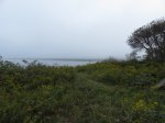 Click to enlarge Graves Island Provincial Park, Nova Scotia, Canada.