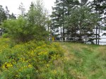 Click to enlarge Graves Island Provincial Park, Nova Scotia, Canada.