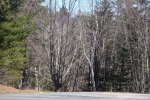 Click to enlarge Mira River Provincial Park, Nova Scotia, Canada. Along the park roads in early spring