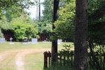 Click to enlarge Cemetery within park grounds