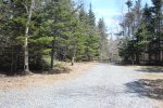 Click to enlarge Mira River Provincial Park, Nova Scotia, Canada. Trees down on roads in early spring