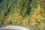 Click to enlarge Beginning of fall colors.