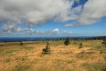 Click to enlarge Skyline Trail