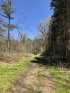 Wildwood Conservation Area photo 3