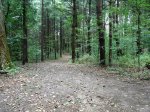 Pinehurst Lake Conservation Area, Ontario, Canada. Hiking