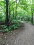 Pinehurst Lake Conservation Area, Ontario, Canada. Trail