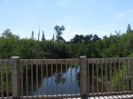 Arrowhead lake trail