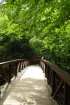 Bridge at Stubb