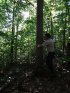 Click to enlarge Arrowhead Provincial Park, Ontario, Canada. Park naturalist on guided hike, Hardwood Hills trail
