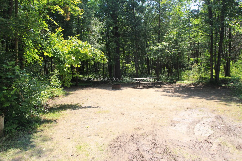 Campsite 299 in Mapleview Campground at Balsam Lake Provincial Park