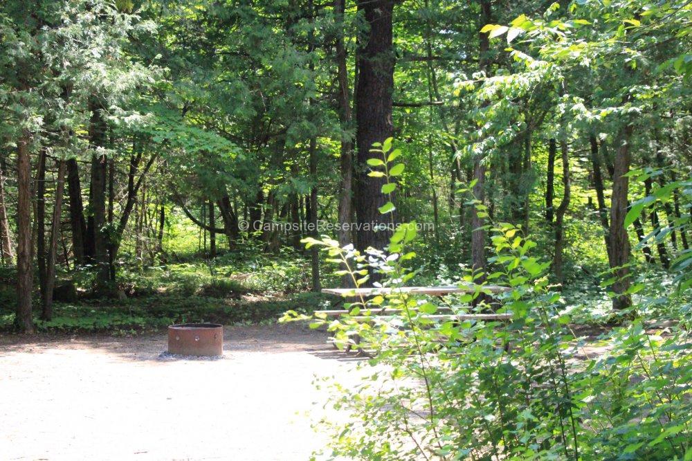 Campsite 299 in Mapleview Campground at Balsam Lake Provincial Park