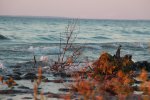 Click to enlarge Craigleith Provincial Park, Ontario, Canada. Evening waves